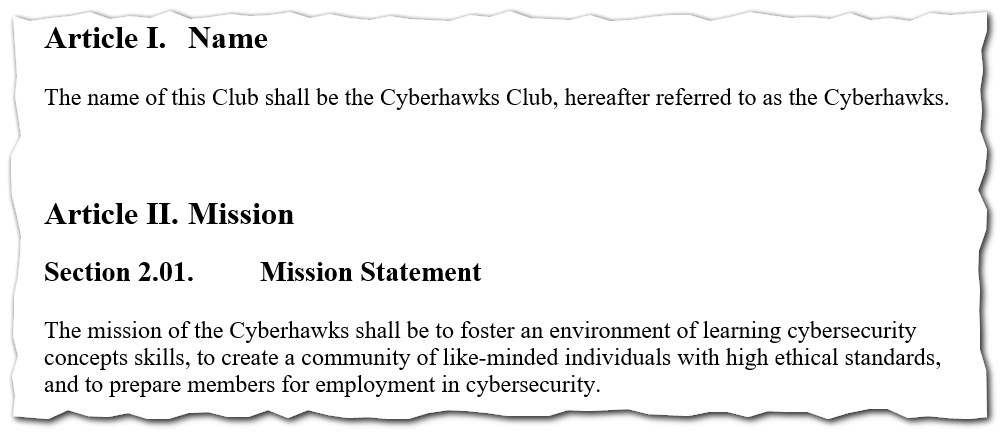 Cyberhawks Charter